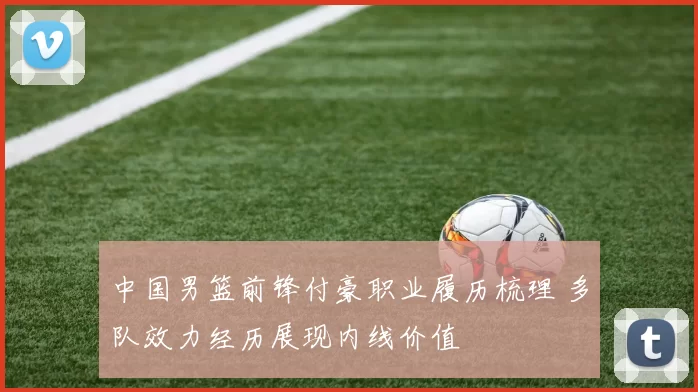中国男篮前锋付豪职业履历梳理 多队效力经历展现内线价值