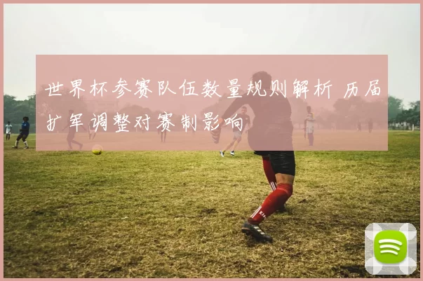 世界杯参赛队伍数量规则解析 历届扩军调整对赛制影响