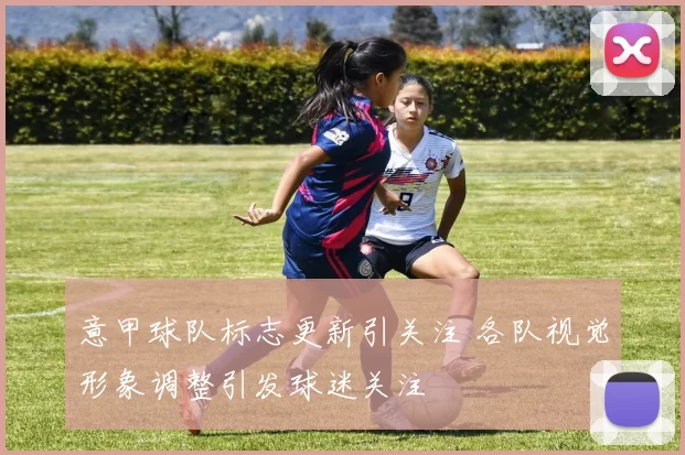意甲球队标志更新引关注 各队视觉形象调整引发球迷关注